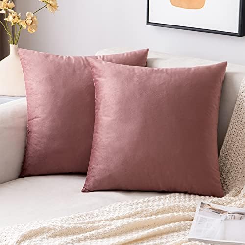 EMEMA Velvet Cushion Covers Light Blue Decorative Throw Pillow Case 16x16 Inch 40x40 cm Pillow Covers for Livingroom Sofa Bedroom Pack of 2