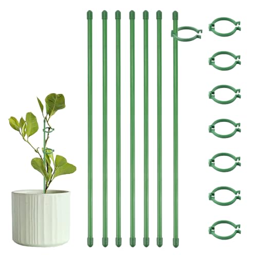 CAREDGO 18 Stück Pflanzenstab 30cm Pflanzenstütze Grün Orchideen Stäbe Blumenstütze Rankhilfe Zimmerpflanzen Kunststoff Pflanzenhalter Pflanzstab mit Pflanzenschnalle Pflanzstäbe für Kletterpflanzen