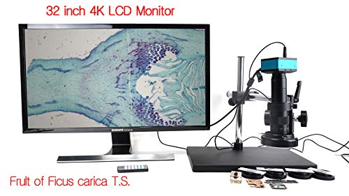 Hayear 4K Hdmi Microscope Camera Kit For Industry Lab Pcb Usb Output Tf Card Video Recorder +180X C-Mount Lens + Big Stereo Stand +144 Led Light #TOP5