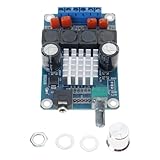 Fluxioxtna TPA3116D2 Doppelkanal Digital Leistungsverstärkerplatine 50 W x 2 12–24 V Stereomodul für Auto Fahrzeug Computer Verstärkermodul