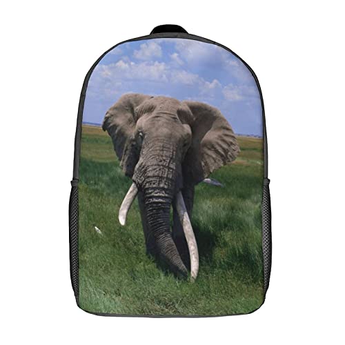 Sac d'école unisexe éléphant 17 pouces pour enfants