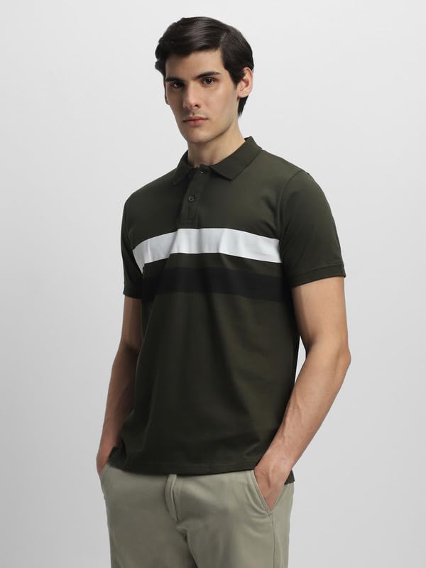 Image of Dennis Lingo Men's Olive Cotton Polo Neck Tshirt, Regular Fit Half Sleeve