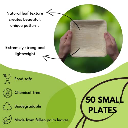 Disposable 7-Inch Square Bamboo Plates - 50 Pack - Eco-Friendly Palm Leaf Plates for Salads, Appetizers, or Desserts - Biodegradable