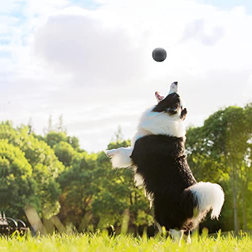 Magicorange Tennis Balls, 12 Pack Advanced Training Tennis Balls Practice Balls, Pet Dog Playing Balls, Come With Mesh Bag For Easy Transport, Good For Beginner Training Ball (Grey) #TOP6