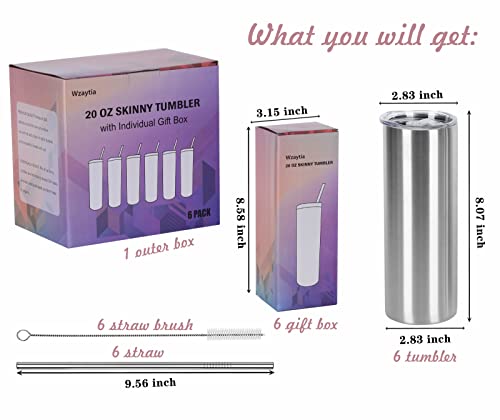 Wzaytia 6 Pack 20 Oz Straight Skinny Tumblers,Individually Gift Boxed Stainless Steel Slim Skinny Tumbler Set Bulk, 20 Oz Insulated Slim Thin Travel Tumbler Cup For Diy, Silver #TOP1