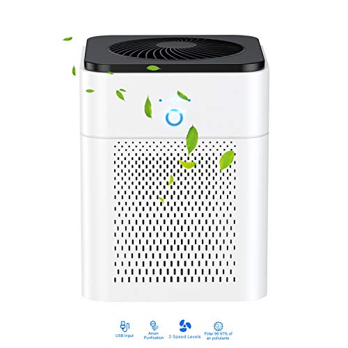 Luftreiniger Wohnung, 2020 New Air Purifier True HEPA Filter Luftreiniger für Raucher zu Hause Pollen und Haustierhaar perfekt für Staub,