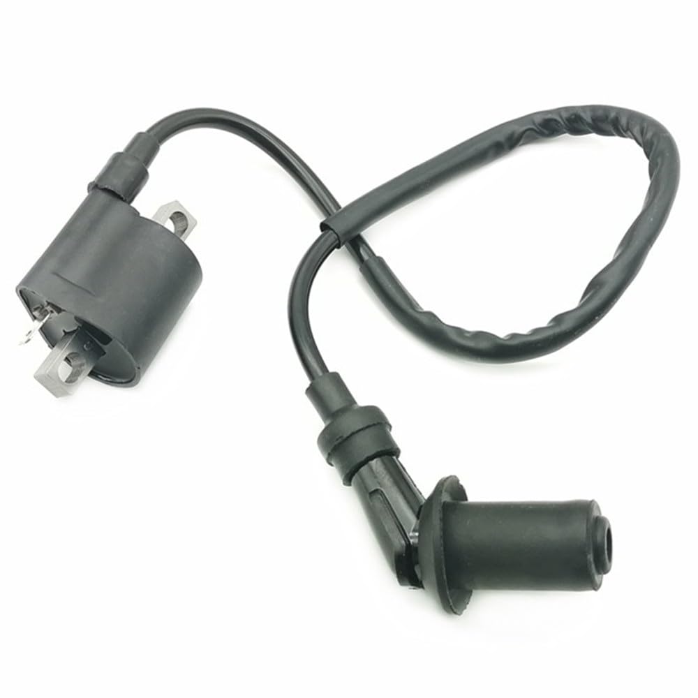 Zündspule Mit HT-Kabel Für Yamaha YBR125 – Doppelklinge Metall, Perfekter Zündfunke
