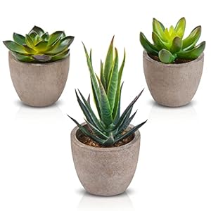 Zalava 3 Stück Künstliche Pflanzen, Künstliche Pflanzen mit Topf Kunstpflanze klein für Tisch Haus Balkon Büro Deko