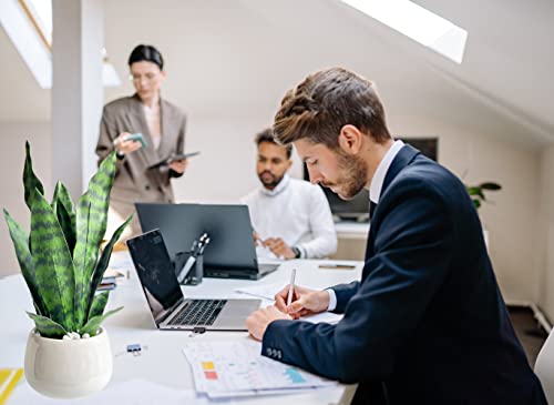 Duzyxi Artificial Snake Plant 15" With White Ceramic Pot Sansevieria Plant Fake Snake Plant Greenery Faux Snake Plant In Pot For Home Office Living Room Housewarming Gifts Indoor Outdoor Decor-Green2 #TOP2