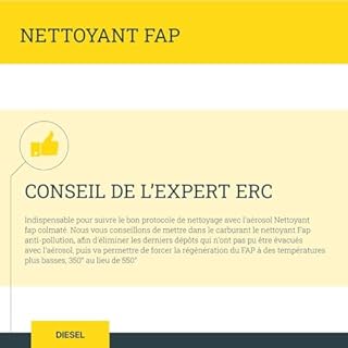ERC | Nettoyant FAP colmaté | Aérosol | Dissout les suies, cendres et dépôts de carbone | Nettoyant FAP sans démontage | Restaure les performances moteur | Pour moteur diesel | 400 ml