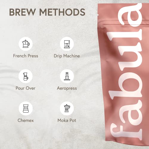 Fabula Coffee Light Roast Freshly Grounded - Organic - Low Acid - Single Origin - Non-Gmo - Mold Free - 12 Ounces #TOP6