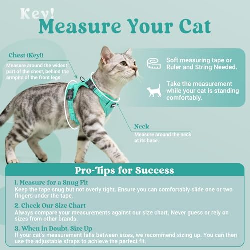 rabbitgoo Cat Harness and Leash, Easy-on with Neck Buckle, Green - 1