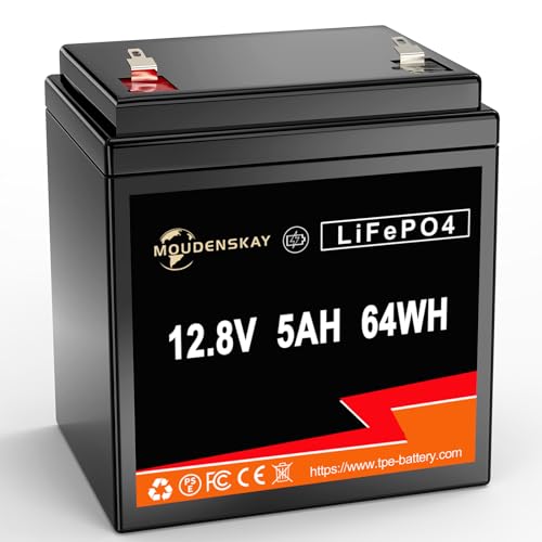 Batterie lithium LiFePO4 12V 5Ah : fini les pannes d'éclairage d'urgence
