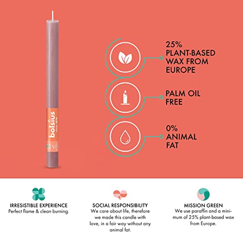 Bolsius 16 Ash Rose Rustic Household Candles - 10.5 Inch - Premium European Quality - 13 Burn Hours - Natural Eco-Friendly Plant-Based Wax - Unscented Dripless & Smokeless Party & Décor Candlesticks #TOP3