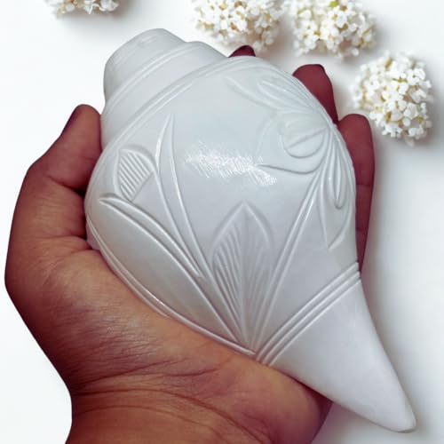 Image of Sankha for Puja - Original Loud Blowing Shankh 6 Inch, 400g Conch Shell for Pooja, Yoga & Meditation - White Glossy Finish, Natural, Artisan Crafted for Spiritual Harmony