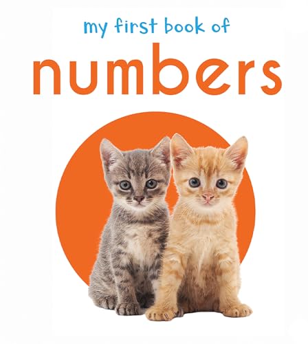 My First Book of Numbers
