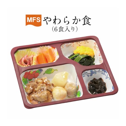 健康うちごはん 介護食 MFSやわらか食 6食セット