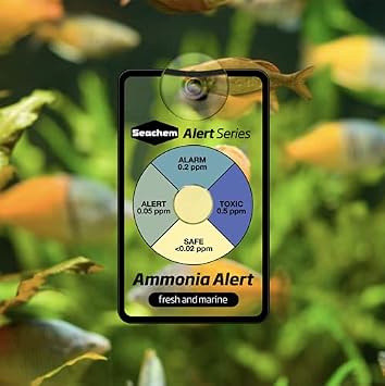 Seachem 28658 Alert Combo Pack white 6 x 3 x 4 inches