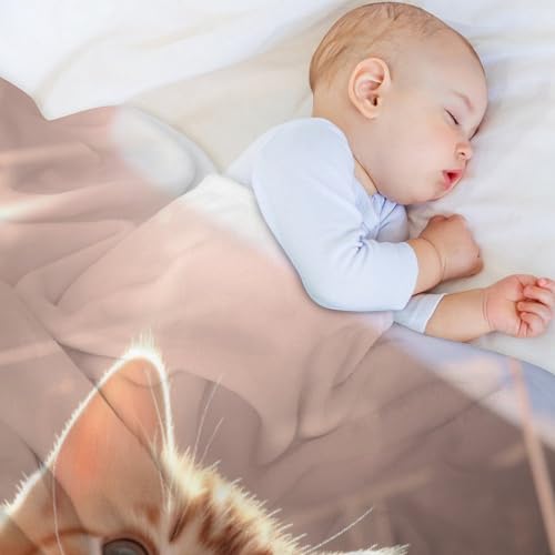 Couverture flanelle chat douce pour lit et plaid canapé 130x180 - 4