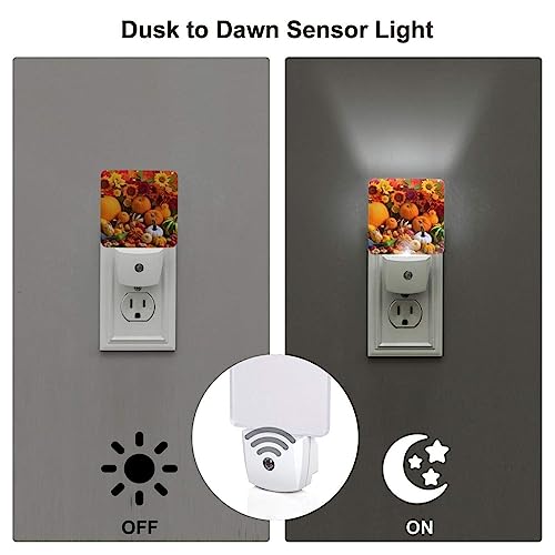 Image of Fall Pumpkin Fruits Night Light Set of 2, Thanksgiving Auto Sensor LED Dusk-to-Dawn Nightlights, Plug-in Sensor Lamp for Bedroom Bathroom Kitchen Hallway Stairs Decorative
