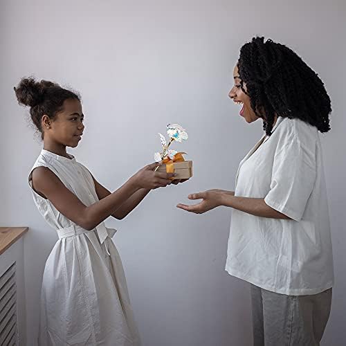 Galaxy Rose Flowers Forever Eternal rose with Colorful LED Light in Glass Dome for Romantic Gifts on Valentine Mothers Day Anniversary