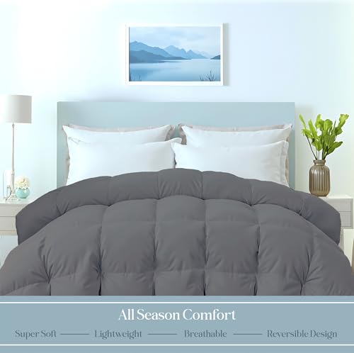 Image of ROYALE LINENS Comforter - Queen Size Duvet Insert - All Season Soft Quilted Comforters with 8 Corner Tabs - Down Alternative Bedding Comforter - Box Stitched Duvet Insert (Charcoal, Queen 88 inchx88 inch)
