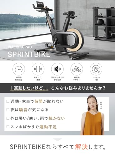 ハヤブサプラス WalkingPad Sprint Bike