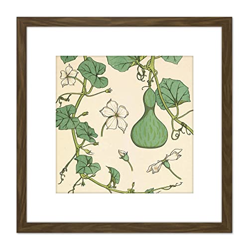 Artery8 Verneuil Ornamental Gourd Squash Plant Design 8X8 Inch Square Wooden Framed Wall Art Print Picture with Mount