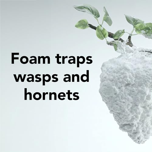 Raid 04476 Max Foaming Wasp & Hornet Killer thumb #6