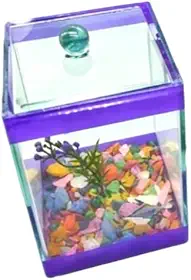 aquário beteira 10x10x13 para peixe Betta com decoração