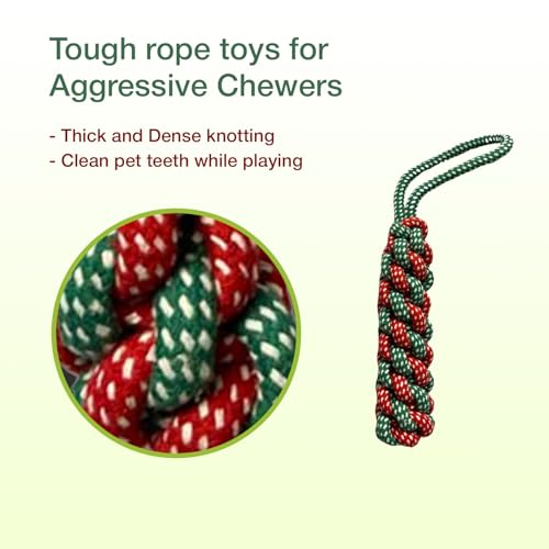 Image of Cotton Dummy Rope Toy for Dogs and Pets |Tug of War Dog Toy Teeth Cleaning Gum Massage Toy |Dog Rope Toys for Small Large Dogs |Rope for Dogs and Puppies (Green)