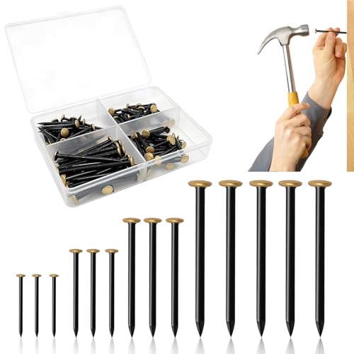 Nureeca - Picture Nails 120 Pack 20/25/30/40 mm - Stainless Steel Wall Nails with Gold Colored Head for Concrete, Brick, Wood - Easy Installation for Pictures, Mirrors, Home Decorations