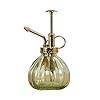 2 stuks Glass Watering Flessen plantenspuit Mister Can Vintage klein Plastic Top Pomp Tuin Bloemen Succulents (Groen…