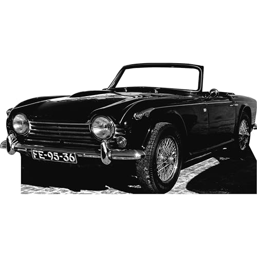 SS11273 1960s Black English Secret Agent Spy Bond Powers Sports Car Stand in Cardboard Cutout Standee Standup