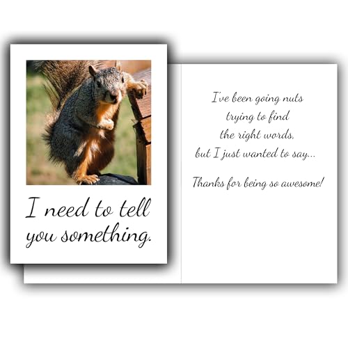 Moving Truths Funny Squirrel Thank You You're Awesome Appreciation Card