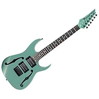 Ibanez Modelle E-Gitarren Gitarren We emphasise a balanced combination of careful workmanship and selected materials. OUR GOAL - Your satisfaction is our top priority and takes centre stage.