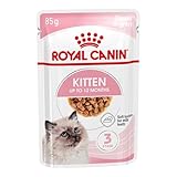 Royal Canin Kitten | 12 x 85 g | Nourriture humide pour chatons | Fines bouchées en sauce | Spécialement pour les chatons en deuxième phase de croissance jusqu'à 12 mois