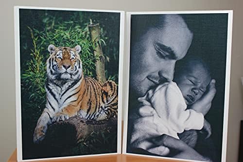 PPD A4 x 50 Sheets Inkjet Gloss Canvas Textured Photo Paper 260gsm Premium Quality PPD-108-50