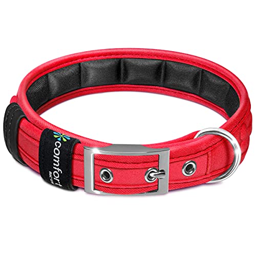 Metric USA Comfort Fit Soft Padded Dog Collars with Buckle Adjustable Comfort Collar for Small Medium Large Dogs, Red, S, 12-14"