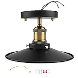 [Options complètes du package] Disponible en deux options de taille courte (22x13 cm) et longue (22x30 cm) pour répondre à différentes exigences spatiales. Chaque forfait comprend un plafond (ampoule non inclus) avec une attention particulière aux détails dans l'artisanat en vous de recevoir un produit de qualité supérieure prêt pour l'installation.