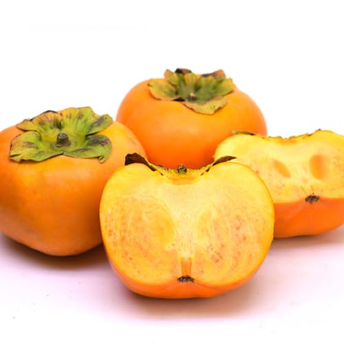 yƒpzmY Y` 7.5`8s ` Ê`