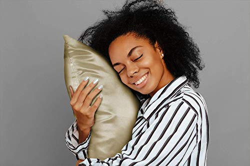 Image of BLISSFORD Luxury Satin Pillowcase for Hair - Queen Satin Pillowcase with Zipper, Champagne (1 per Pack)