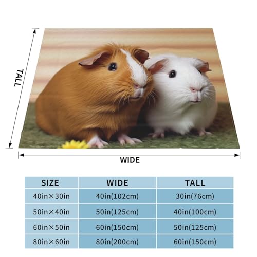 Couverture douce cochon d'Inde : cadeau parfait en microfibre