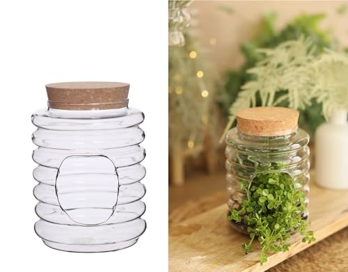 NaDeco GlasTerrarium mit Korken wählbar in Zwei Größen