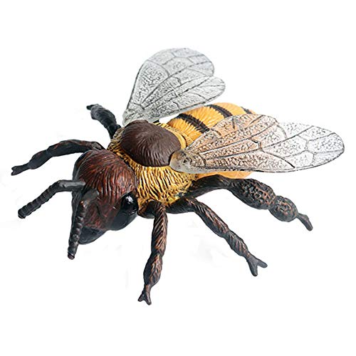 JOKFEICE Réaliste Figures Animales Abeille Figurines Insectes Jouet, Projet Scientifique, Gâteau Topper, Anniversaire Cadeau De Noël pour Les Tout-Petits Enfants Âge 3 4 5 (Grande Taille) Cover