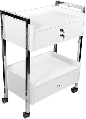 Supreme Medical - Gabinete de utilidad móvil dental con marco de acero y dos cajones con un cajón con cerradura