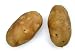 Baking Potato, Artificial Vegetable Fake Food, Bag of 6