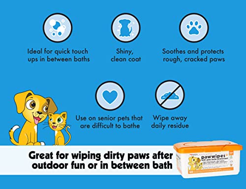 Petkin Paw Wipes Plus, 100 Orange Scented Wipes - Absorbent Pet Paw Wipes Remove Daily Dirt & Odors - Enriched With Paw Balm Protectant - Easy To Use Pet Wipes For Dogs, Cats, Puppies & Kittens #TOP6