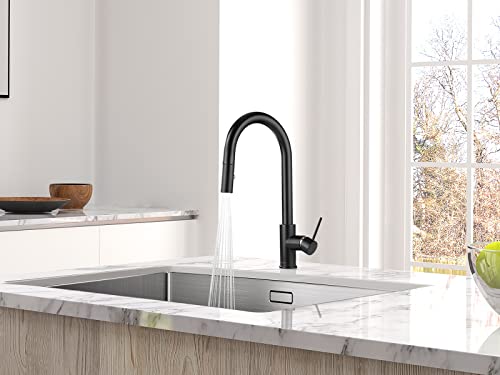 Aguastella As60Mb Matte Black Kitchen Sink Faucet With Pull Down Sprayer Single Handle #TOP4