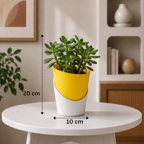 Image of Urban Upvan 4 Inch Self Watering Pot with Jade Plant | Indoor Decorative Planter with Drainage System | Ideal for Home, Office & Desk Decor | Yellow